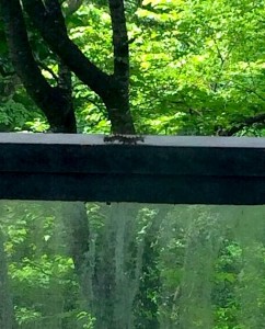 3Sf2pRa_MM2pH2JcouCSVyxJ4rr19O1rCs987NX7HMU