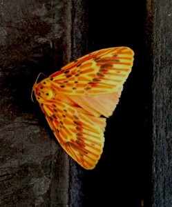 Dd-KdVvnKF0srTiCO-AQMCqk9Mqzd1uQmjhuHBoBt2w