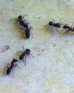 DABRNYrrWMx2kOdnguB55Wbge3kLTlafDavIUMcpPdw