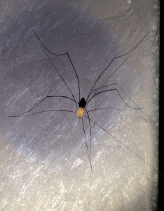 c-8evjAi20cOZn_EQlaePnhmum8iUpAsSzuEI9-gNNI