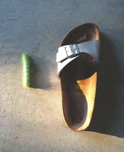 kZBKdNM32L_2VmWKpqUT0BD0jsxkRCOGH_-Qvqb7LI4