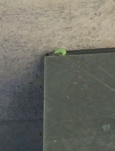 o0l6cxZZyio3ShmSLtR_oMkv5x3fNPLxef80GbjfbWM