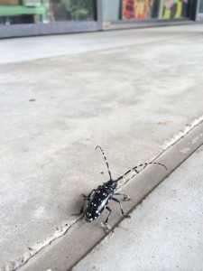 anihLScNxjPb92L3zz9WaoOgqIRvxVOaTQw2NzBI3KU